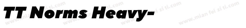 TT Norms Heavy字体转换